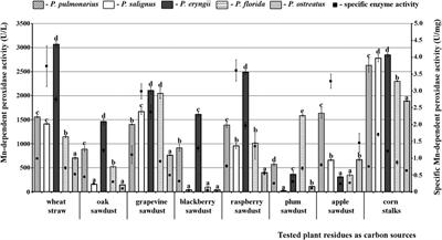 Obtaining Cellulose-Available Raw Materials by Pretreatment of Common Agro-Forestry Residues With Pleurotus spp.